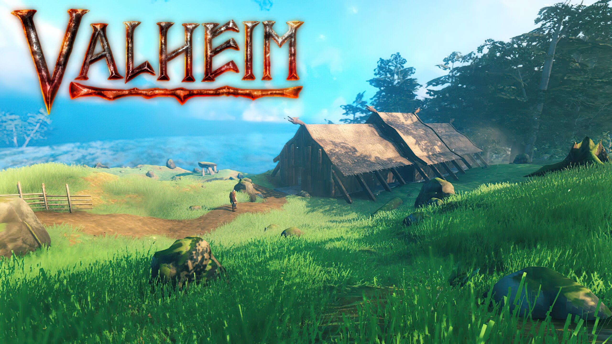 Valheim Hosting Background